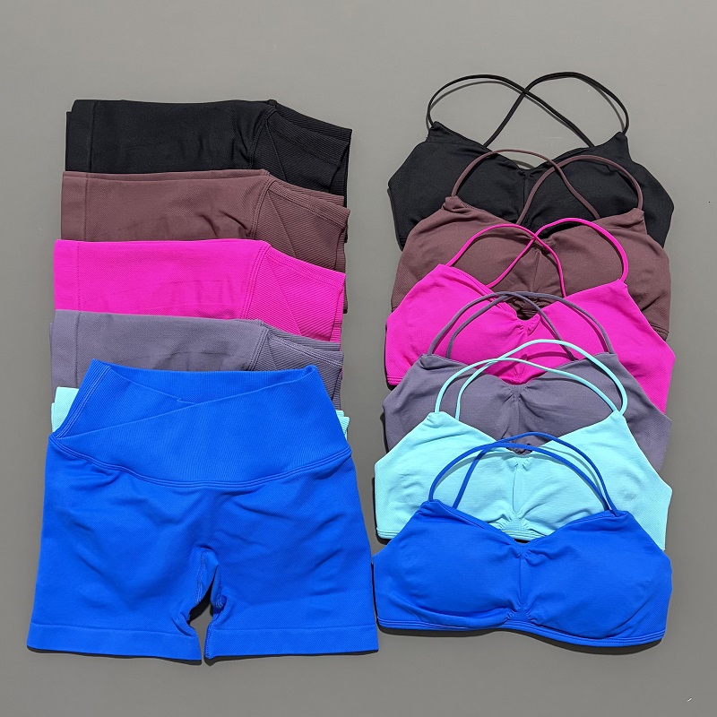 Yoga Fitness Outfit - 2 peça visão ginásio conjunto feminino
